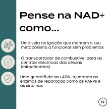 NAD+ 1000mg Solucao Injetavel Genesis (Importado) Energia e Metabolismo