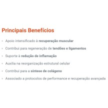 Blend 4X1 BPC-157+TB-500+KPV+GHK-CU 80mg PepSciences