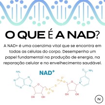 NAD+ 1000mg Solucao Injetavel (Importado) Energia e Metabolismo ZPHC