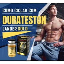 Testosterone Mix Pre-Hormonal Landerlan Premium (Durasteston) 250mcg 10ml Plus Gold